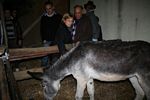 33 Sagra della Castagna San Cipriano Picentino