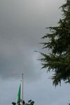 34 Sagra della Castagna San Cipriano Picentino